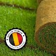gazon naturel en rouleau
