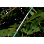 Image de CONNECTOR   4 pr arceaux fibre verre dia 6mm x 10 cm