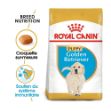 Image de BHN Golden Retr. Puppy 12kg