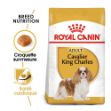 Image de BHN Cavalier KC Adult 7,5kg