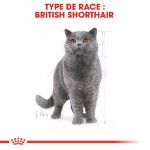 Image de FBN Norwegian Forest Cat 2kg