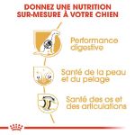 Image de BHN German Shepherd Adult 11kg