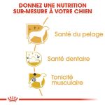 Image de BHN Poodle Adult 7,5kg