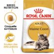 Image de FBN Maine Coon 4kg