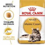 Image de FBN Maine Coon 4kg