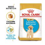 Image de BHN Labrador Puppy 3kg