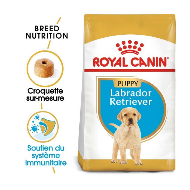 Image de BHN Labrador Puppy 3kg
