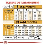 Image de BHN Labrador Puppy 3kg
