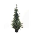Image de Sapin 2D 120cm