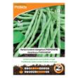 Image de Graines d'haricot à rames mangetout phenomene - Protecta