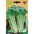 Image de Graines bio de céleri vert tall utah