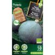 Image de Graines courge blue ballet fr-bio-15