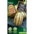 Image de Graines courgette delicata