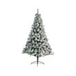 Image de sapin Imperial enneige charnie