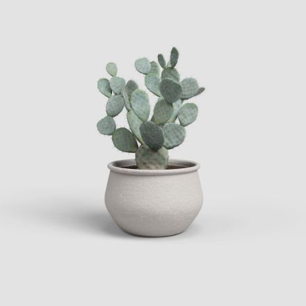 Agrandir l'image de COUPE ARTEMIS 31CM BLANC Image de COUPE ARTEMIS 31CM BLANC