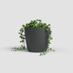 Image de POT SAN REMO MATE 6CM ANTHRACITE