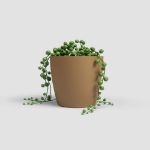 Image de POT SAN REMO MATE 9CM MOUTARDE