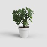Image de POT CAPRI 25CM BLANC