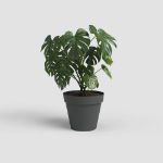 Image de POT CAPRI 25CM ANTHRACITE