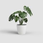 Image de POT SAN REMO MATE 30CM BLANC