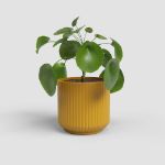 Image de CACHE-POT LUNA 7CM JAUNE