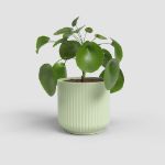 Image de CACHE-POT LUNA 7CM VERT CLAIR