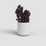 Image de CACHE-POT JUNO 12CM BLANC