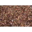 Image de Pin sylvestre 60L (10-25MM)