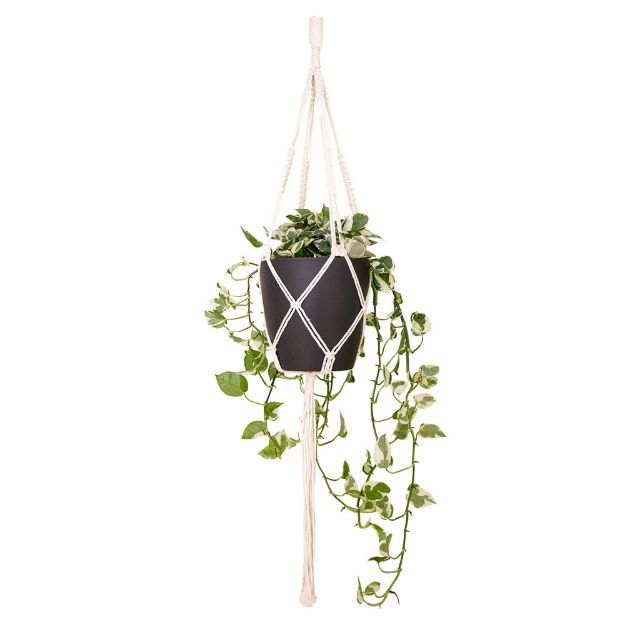 Image de MACRAMÉ SIMPLE NŒUD CARRÉ BLANC 100 CM