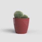 Image de POT SAN REMO BRILLANT 11CM ROUGE FONCÉ