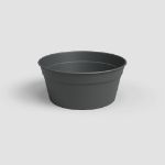 Image de COUPE MADAGASCAR 27CM ANTHRACITE