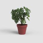 Image de POT CAPRI 25CM ROUGE FONCÉ