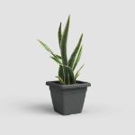 Image de POT VENEZIA CARRÉ 40CM ANTHRACITE