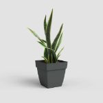 Image de POT CAPRI CARRÉ 35CM ANTHRACITE