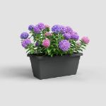 Image de JARDINIÈRE VENEZIA XL 100CM ANTHRACITE