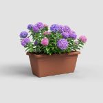 Image de JARDINIÈRE VENEZIA XL 100CM terre