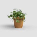 Image de KIT MUR POT CAPRI RÉS.EAU 20CM JAUNE MIEL