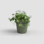 Image de KIT MUR POT CAPRI RÉS.EAU 20CM VERT CENDRÉ