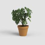 Image de POT CAPRI 25CM JAUNE MIEL