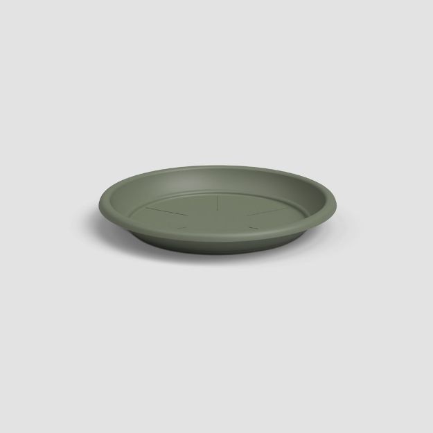 Image de SOUCOUPE RONDE 22CM VERT CENDRÉ