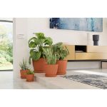 Image de soucoupe ronde 36cm naturel
