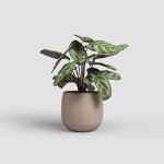 Image de CACHE-POT HEMERA 20CM TAUPE