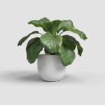 Image de CACHE-POT AURA 16CM BLANC