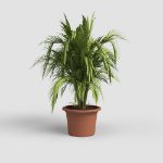 Image de POT VENEZIA CILINDRO 60CM terre