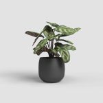Image de CACHE-POT HEMERA 29CM ANTHRACITE