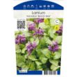 Image de Lamium mac. 'Beacon Silver' P11